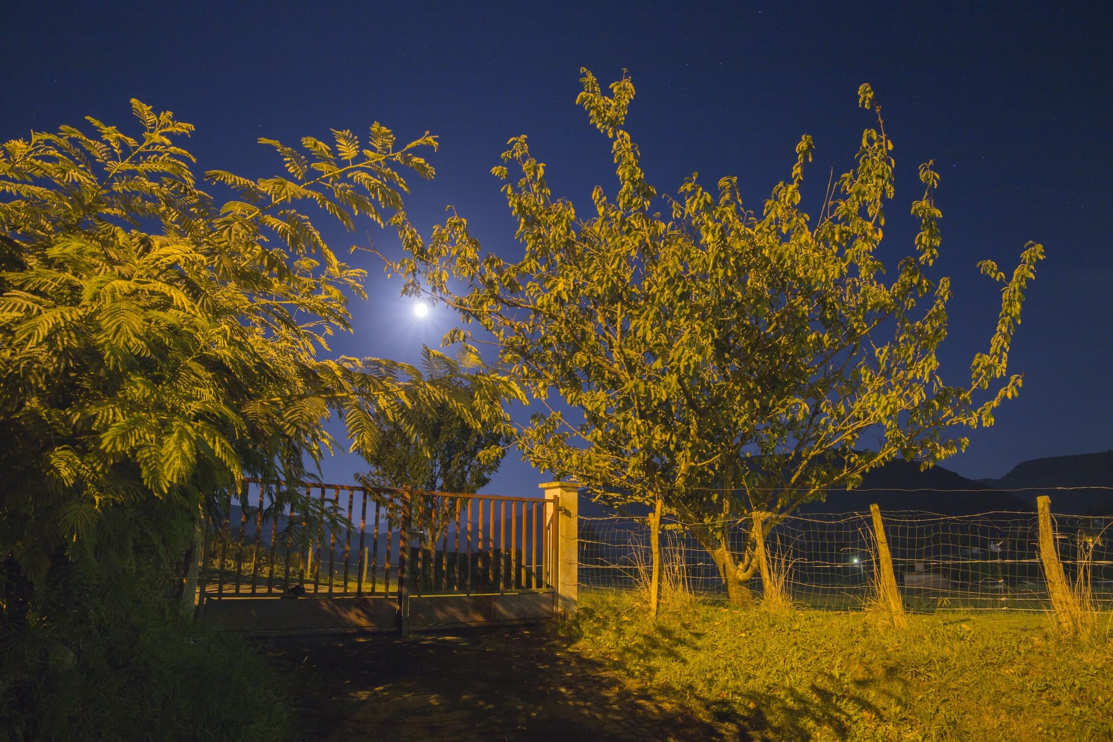 Tatort Gartenzaun: Verdachtskündigung im Pachtrecht