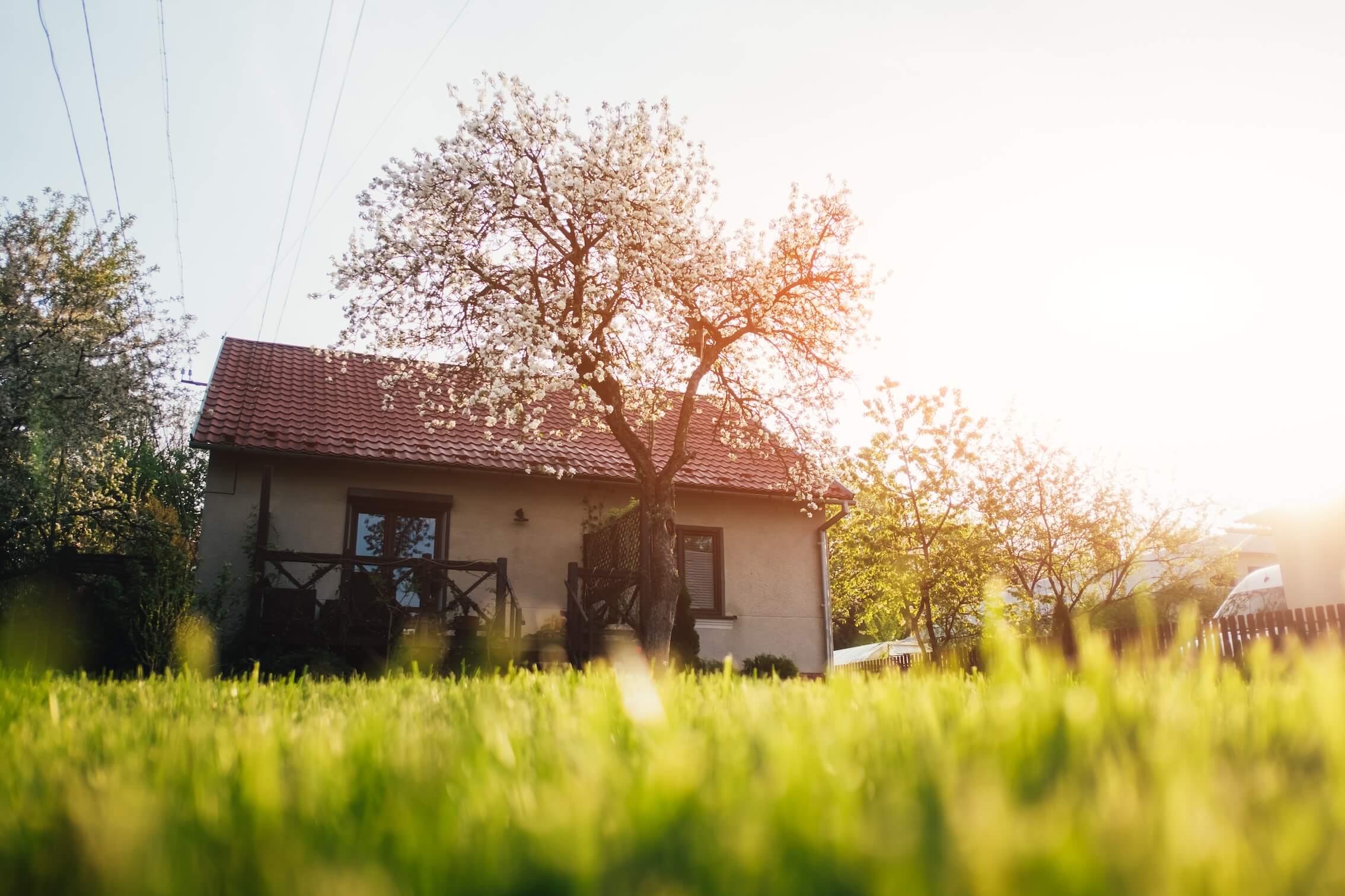 BGH zur Rückabwicklung eines sittenwidrigen Kaufvertrags