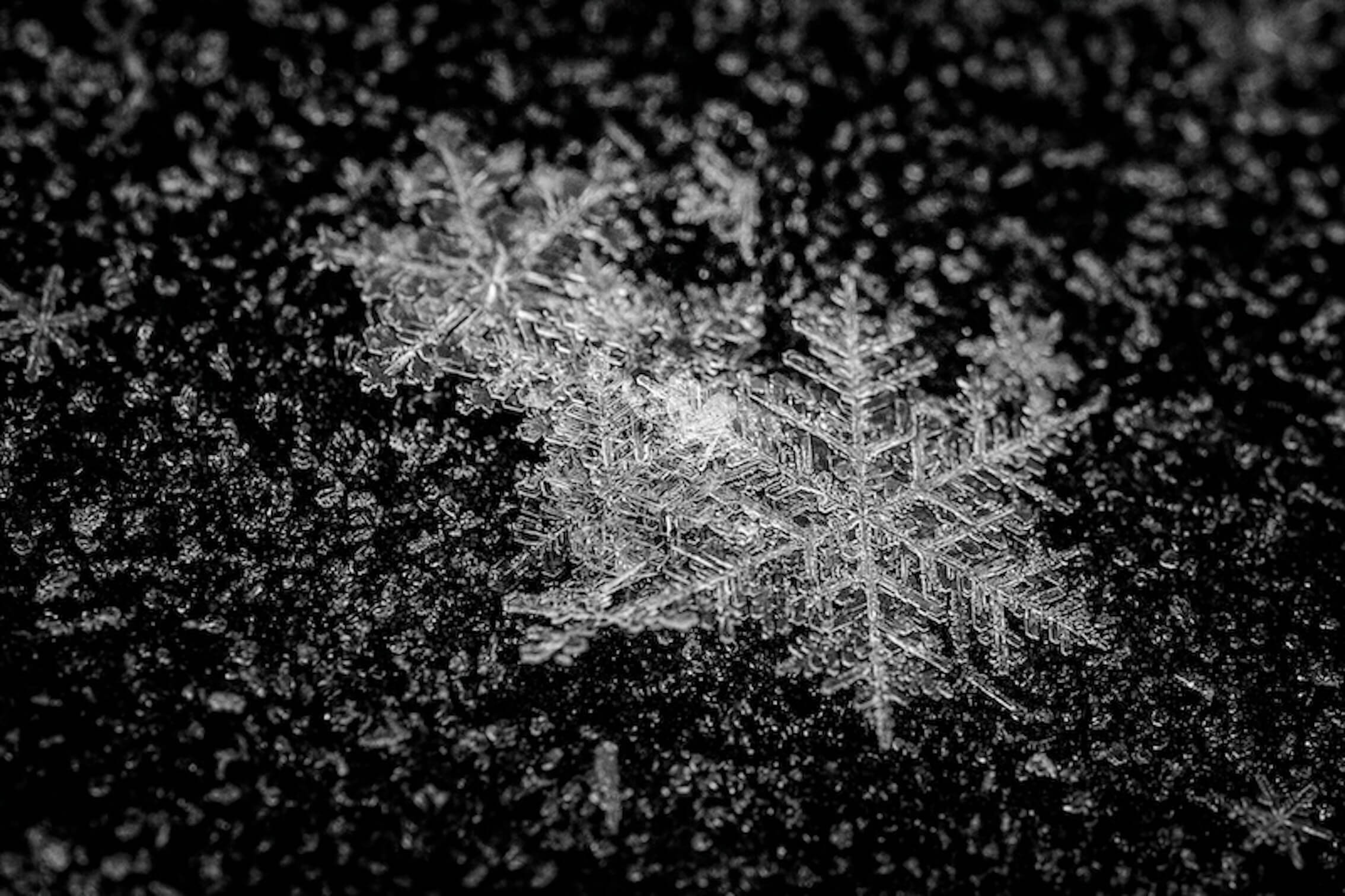 Keine „Verabreichung“ trotz Gewalt: BGH zu erzwungener Kokain-Line